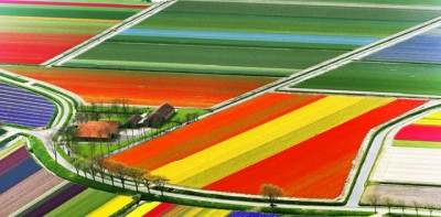 color-1477531088.jpg