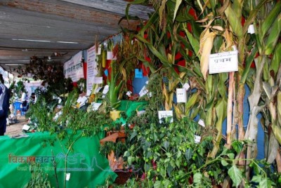 Agro-1540222116-1540468834.jpg