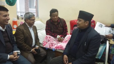 lama-jr-1543191396.jpg