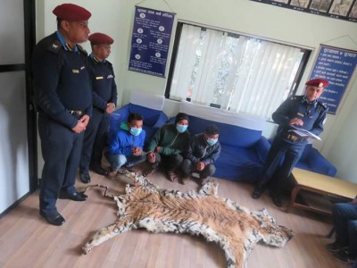 Thaha-Tiger-1545976554.jpg