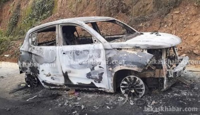CAR-1564552280.jpg