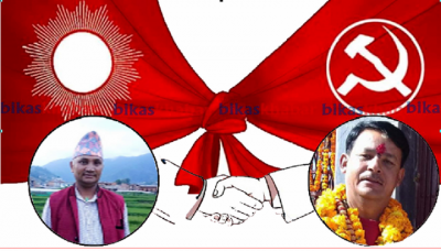 NKP-1575337858.png