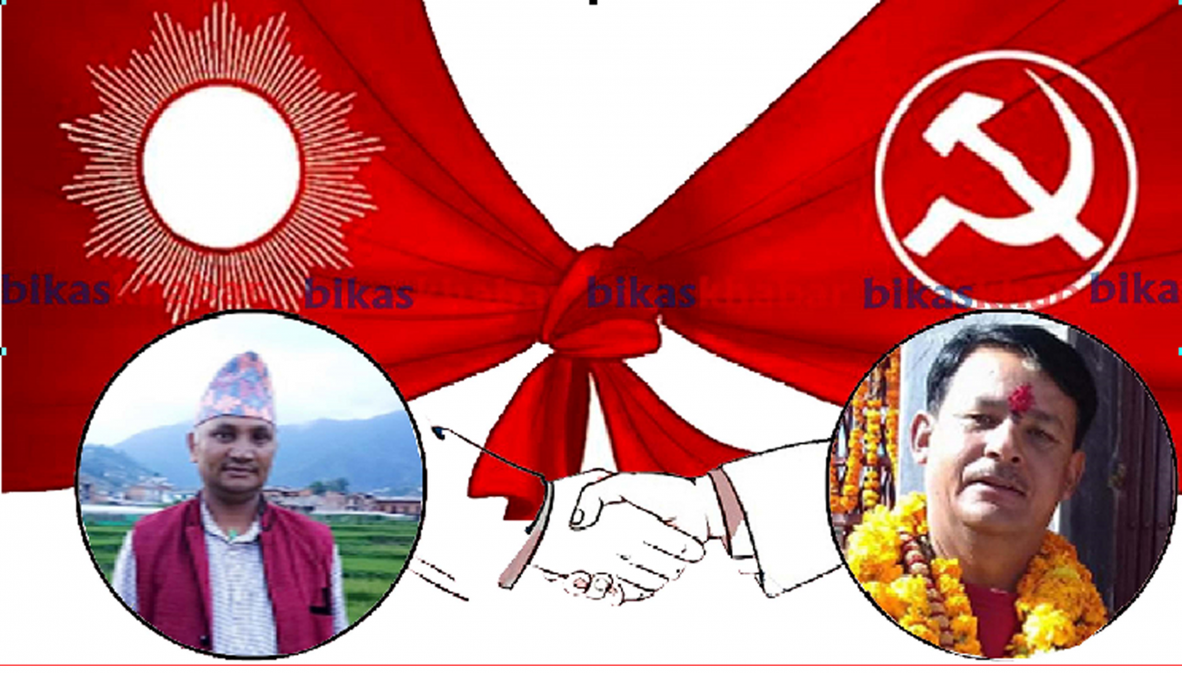 NKP-1575337858.png