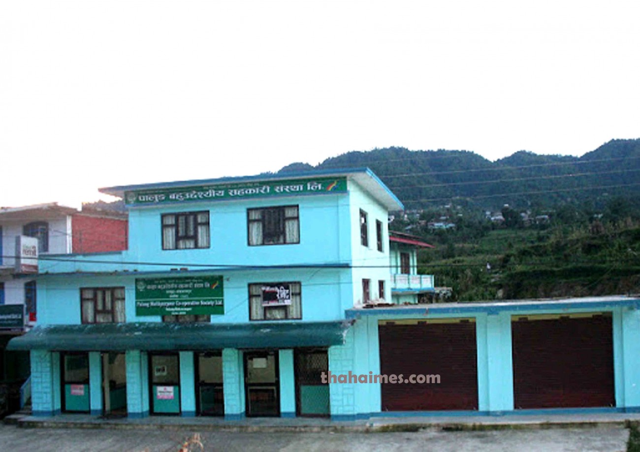 Pacos-1583335795.jpg