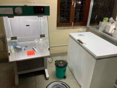 corona-lab-1588921539.jpg