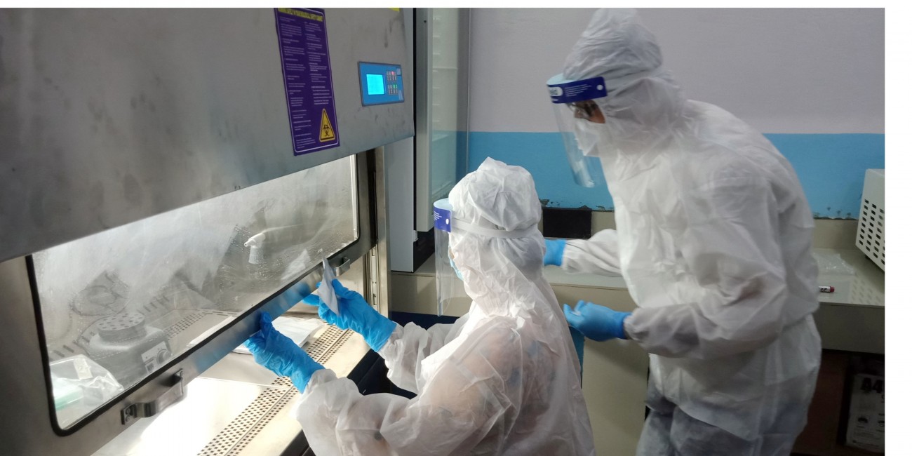lab-1598776301.jpg