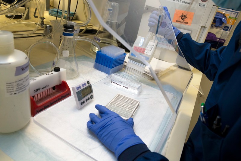 lab-1603257774.jpg