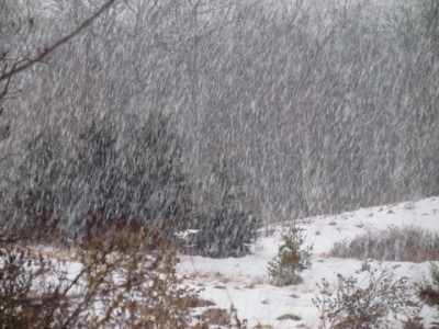 5fb25c0e8b0dd_snow-1605528377.jpg