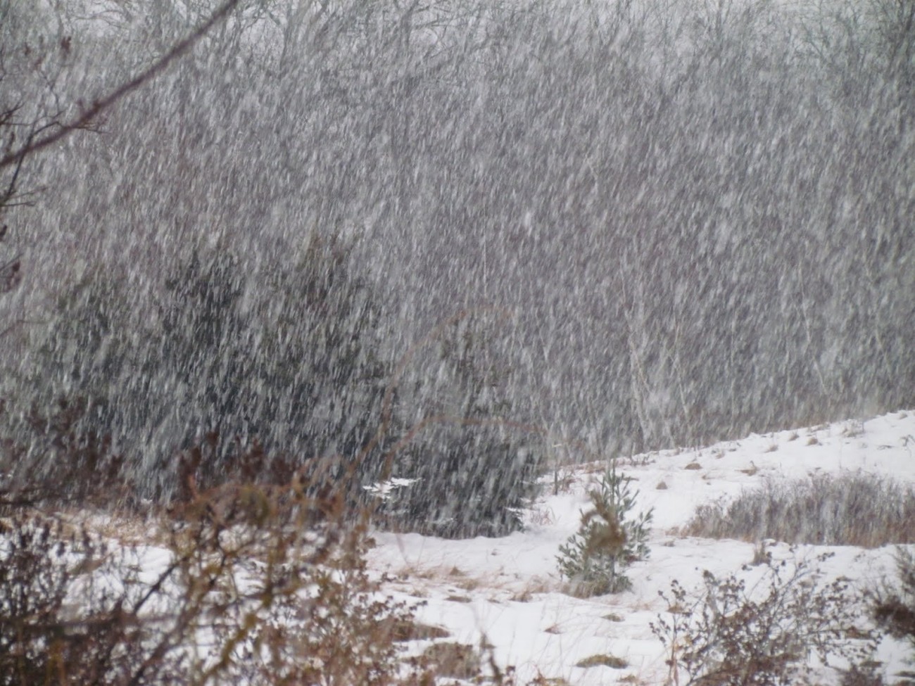 5fb25c0e8b0dd_snow-1605528377.jpg