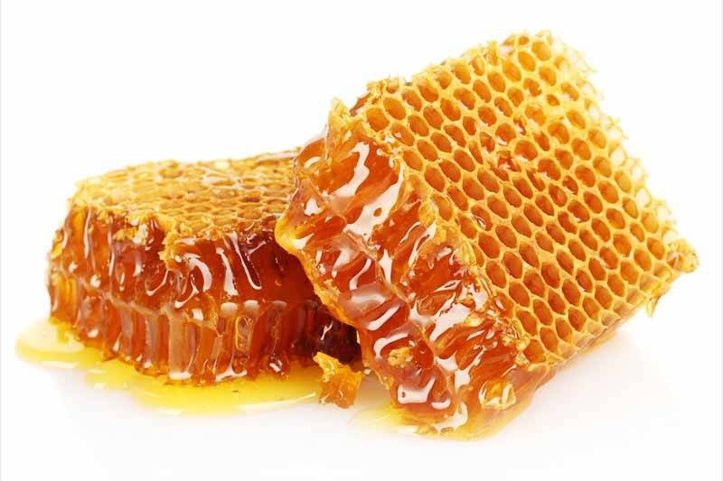 honey-bee-1613810407.jpg