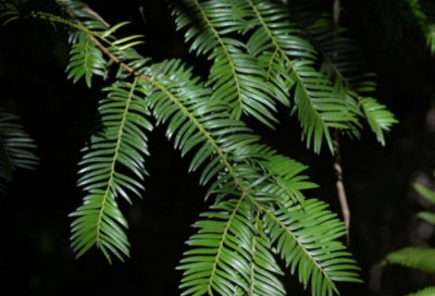 Lauth-1614007984.jpg