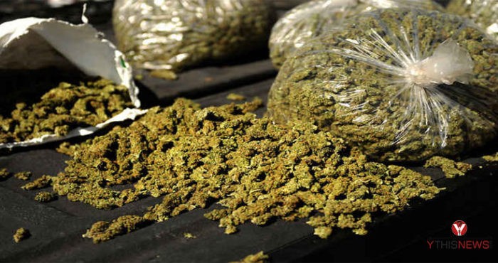 ganja-1616743030.jpg