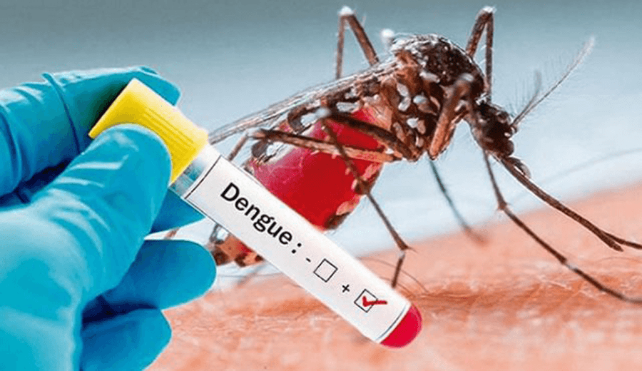 dengue-1662970519.png
