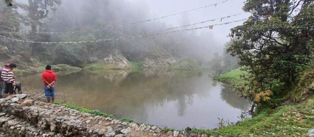 tal-1024x446-1666508797.jpg