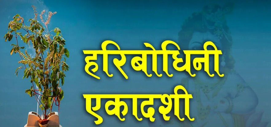 hari-copy-1667544463.jpg