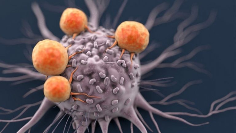 cancer_LiQZXvRg5p-768x432-1675512579.jpg