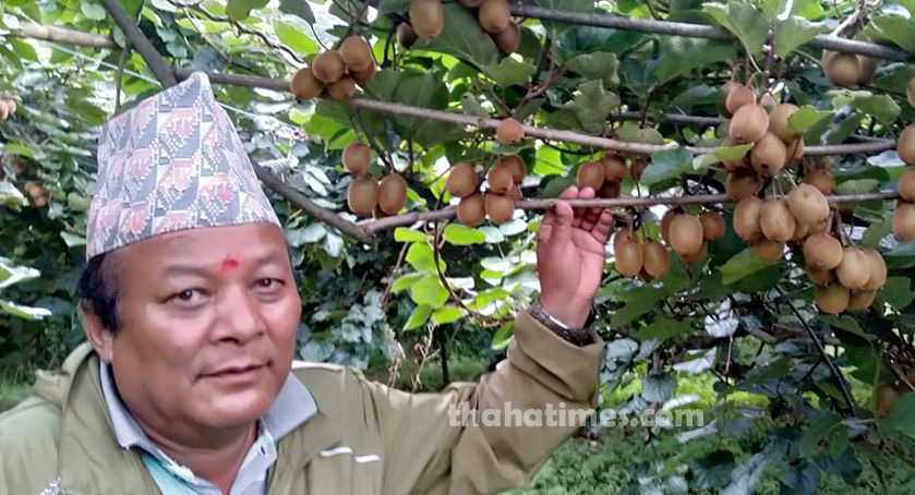 थाहा नगरपालिका १० का वडा अध्यक्ष हिराबहादुर गमाल