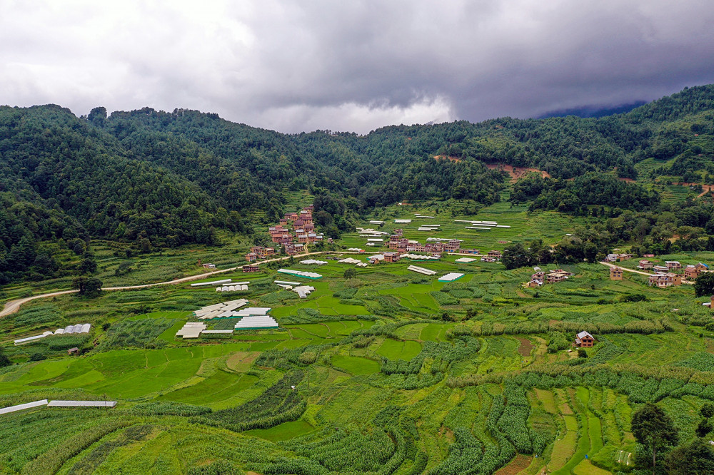 थाहा नगरपालिका वडा नम्बर १० मा रहेको न्हुँल गाउँ, विसिङ्खेल तथता कृषिमा आधुनीकीकरण (टनेल खेती) र फाँटहरु ।