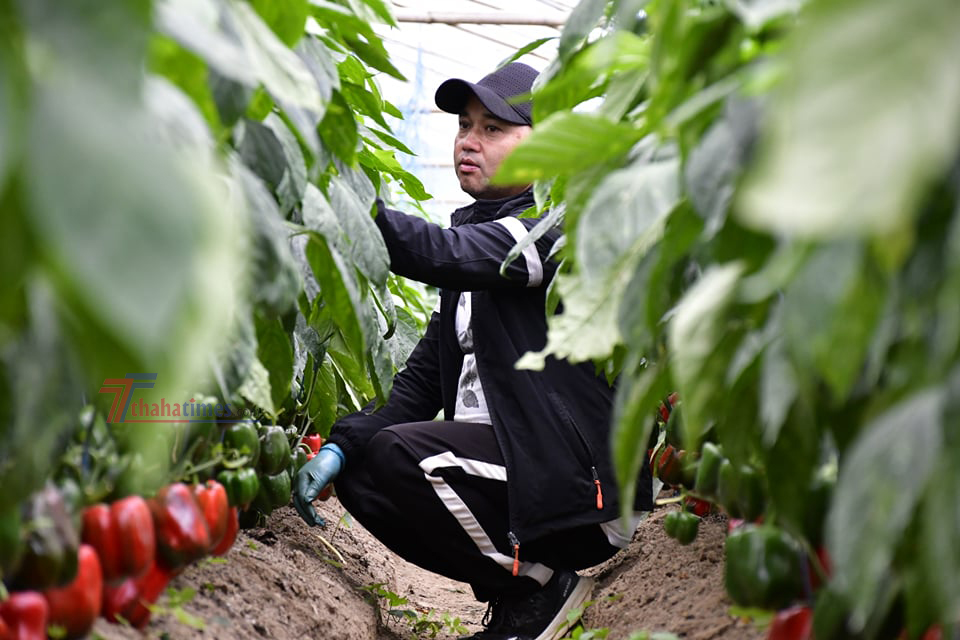 कृषक राजकुमार घिसिङ । फोटो: गणेश विष्ट/थाहा टाइम्स